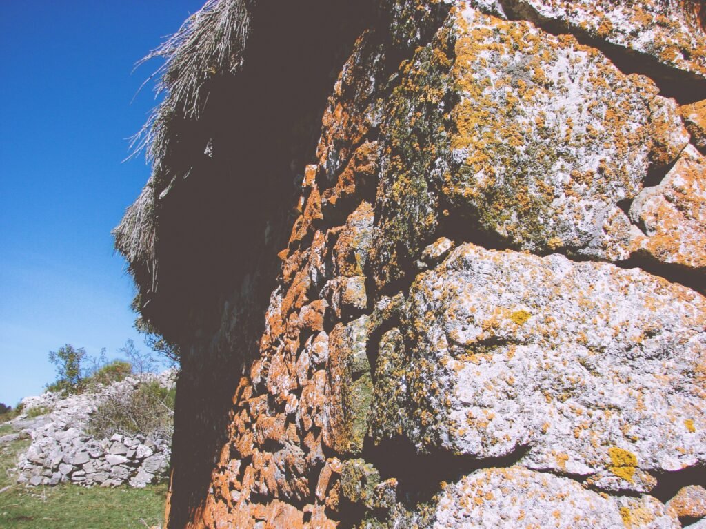 Detail of a Teito in Somiedo Natural Park